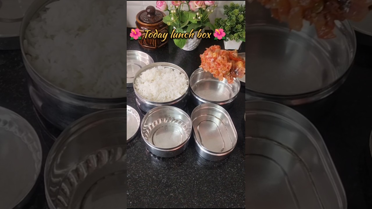 🌺Today lunch box 🌺