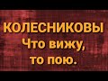 Семья Колесниковых/Новости из Дворца.