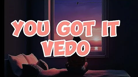 VEDO- YOU GOT IT (lyrics). It's time to boss us up,fix your credit girl go get it.