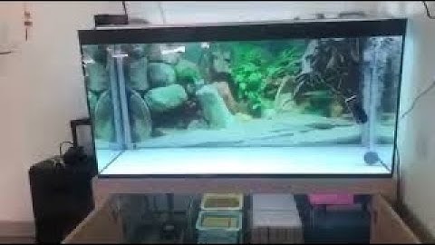 Hệ thống lọc tràn dưới không cần khoan hồ