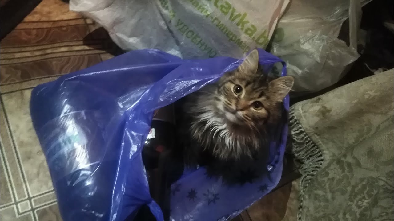 Замена порога - YouTube