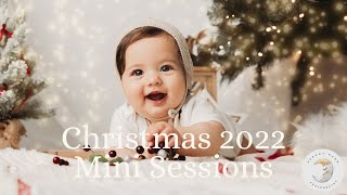 2022 Christmas Mini Sessions