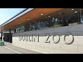 Ирландия 🇮🇪 наша семейная прогулка по DUBLIN ZOO - ДУБЛИНСКИЙ ЗООПАРК, #ирландия #дублин #украинцы