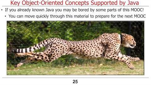 1 1 4Overview of the Java Programming Language Part 1   Vanderbilt University