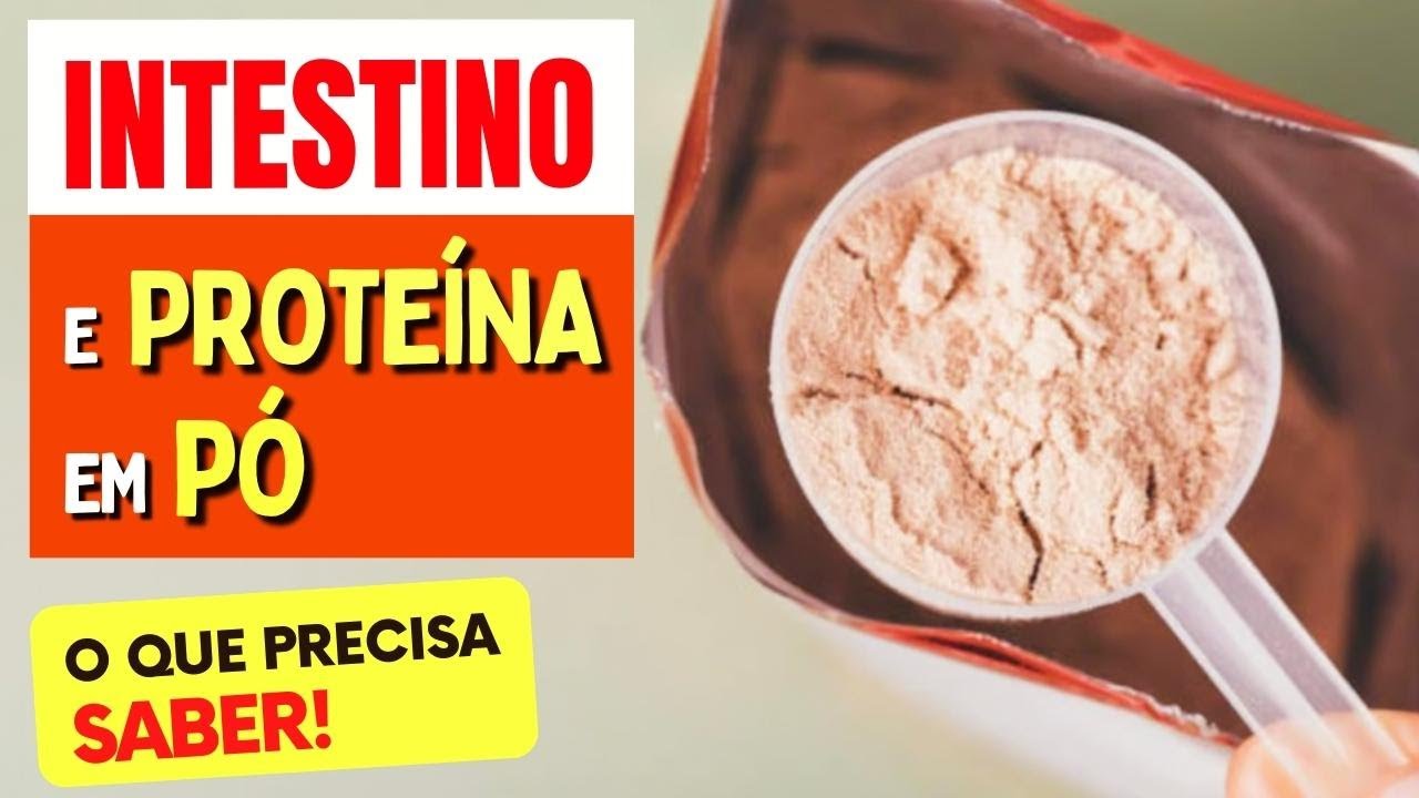 INTESTINO e PROTEÍNA EM PÓ (Whey, Albumina,...) - O que você PRECISA ...