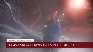 Heavy snow downs trees in the Denver metro
