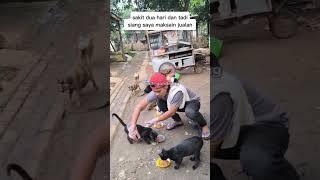 Niat saya baik memberi kucing makan bukan untuk menghilangkan insting berburu mereka #catlovers