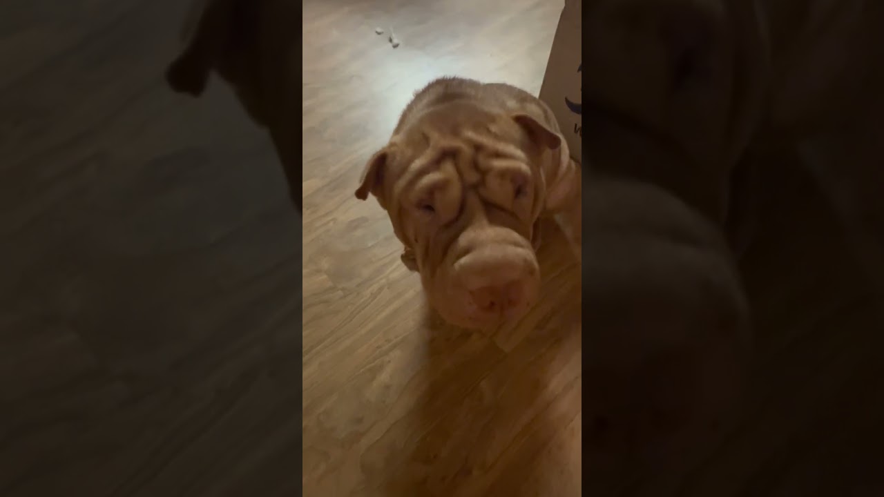 Logan does what he wants! 