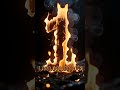 Sinbad Burn #sinbadnetwork
