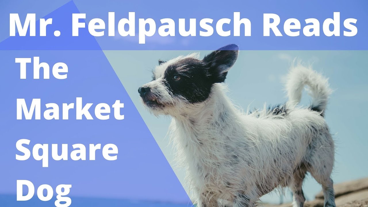 Mr. Feldpausch Reads The Market Square Dog YouTube
