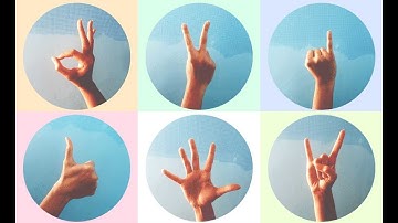 Hand Sign Detector by using YOLOv8