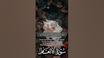 ما تيسر من #سورة_الأنعام | للقارئ الشيخ #ياسر_الدوسري
