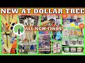 NEW Dollar Tree Shop w/me 4/12~New at Dollar Tree~ What's NEW at Dollar Tree ~Dollar Tree Shopping