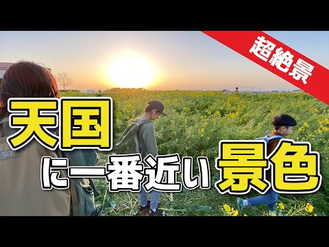【VLOG】絶景スポット!天国に一番近い景色(ソレイユの丘 菜の花畑)※インスタ映えスポット