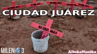Milenio 3 - Ciudad Juárez (Especial)