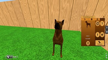 How to birth pet : Taily breedable pets in second life.
