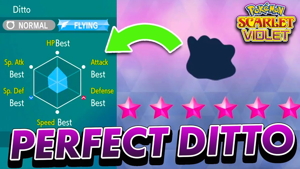 How to get a 5-6 IV DITTO in Pokemon Scarlet and Violet 