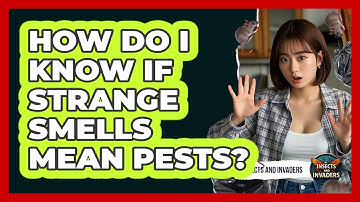 How Do I Know If Strange Smells Mean Pests? - Insects and Invaders