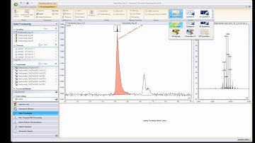 BioPharma Finder - Intact Workbook Chromeleon