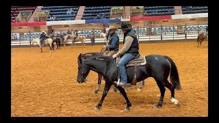 The Mustang Magic 2024: Basic Maneuvers Class by The Project Equestrian 7,929 views 3 months ago 10 minutes, 15 seconds