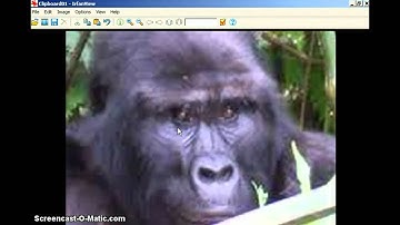 Pixels and resolution