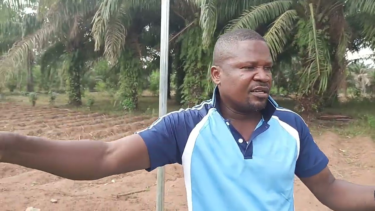 COMMENT TU PEUX FAIRE DES MILLIONS DANS L'ÉLEVAGE DES ESCARGOTS ?