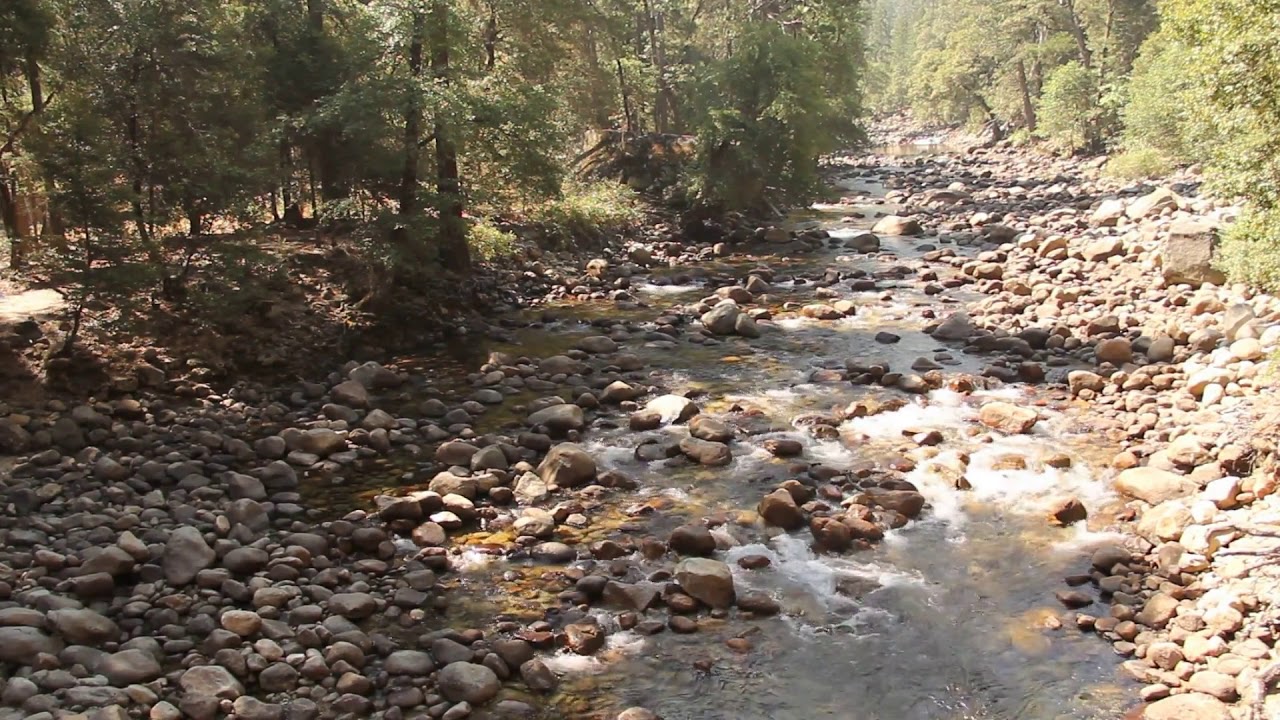 AEA R84 Ribbon Microphones on piano ASMR