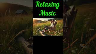 🎶 🎻Soft Classical Music for Relaxation✨  #relaxingmusic #relaxing screenshot 5