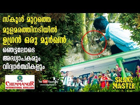 Shocked Teachers and Students see a Cobra in school | Vava Suresh | EP 402