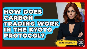 How Does Carbon Trading Work In The Kyoto Protocol? - Moments That Shocked Us