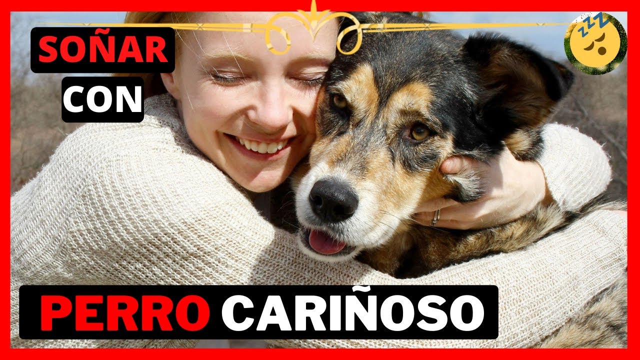 Que significa soñar con un perro