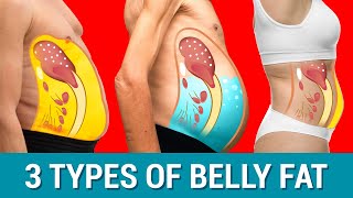 The 3 Belly Types: WHICH ONE DO YOU HAVE? screenshot 4