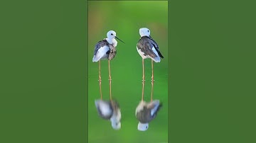 time for a break... #hopecore #nature #edit