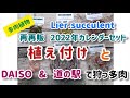 【多肉植物】Lier.succulent 2022年カレンダーセット再再販の苗、葉挿し取って植え付け/100均と道の駅で買っ多肉の紹介です