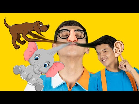 Порно: Менің досым күйеуі ұйықтап жатқанда әйелімді трахает Әйелдің зәр шығару кезінде оны жалап жатқан ер адамның секс видеосы