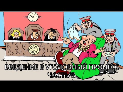 Россинский С.Б. Видео-лекция: «Введение в уголовный процесс». Часть 3