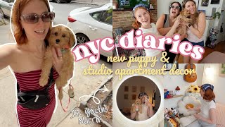 Becoming a Dog Mom in NYC 🐶 | Puppy Reveal, Home Makeover & Cozy Vlog