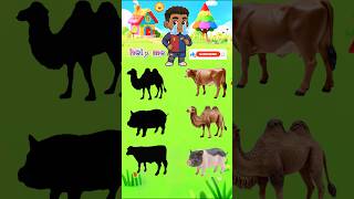 IQ Test ⁉️Guess the Picture #foryou #usa #iqtest #animals #toons #cartoon #funny #shorts #happy