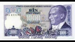 LEARN AND SEE SOME TURKEY MONEY.