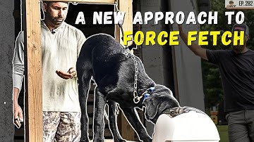 Force Fetch Training: The New Method You Need to Know