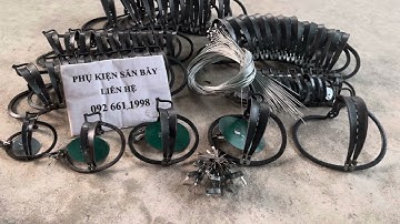 Tổng hợp 5 mẫu cạm kiềng kẹp bẫy chuột bẫy chồn thú được dùng nhiều nhất 2023