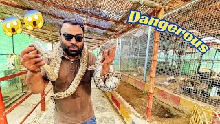 Life Main First Time Python Snake Dekha😍