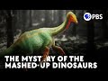 The mystery of the mashedup dinosaurs