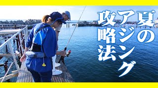 夏のアジング攻略はこれを見て!アジングの基礎から、役立つテクニックまで盛りだくさん! 1/2 『アジングへ行こう! 29』【釣りビジョン】