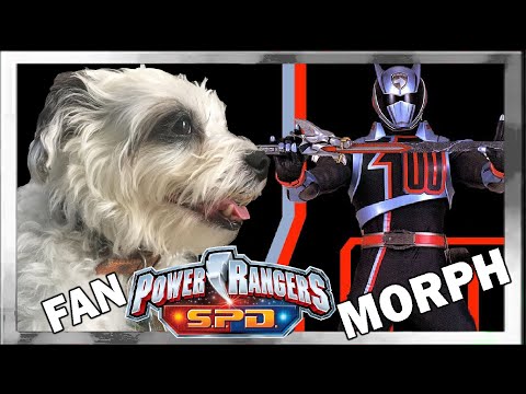 S.P.D. Shadow Ranger Dog Fan Morph (Feat. Lindsay the Doggo)