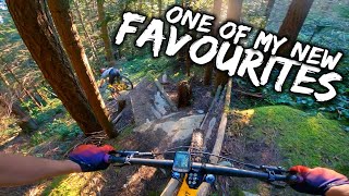 Dirty Harry | Cypress Mountain, West Vancouver, BC | MTB