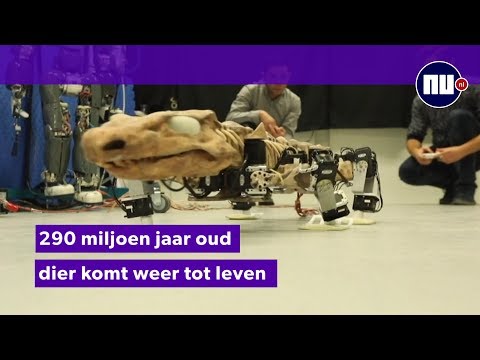 Video: Wetenschappers Uit Zwitserland Creëren Een Zenuwstelsel Voor Robots - Alternatieve Mening