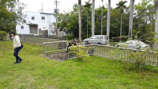 20160225甲仙靈骨塔c