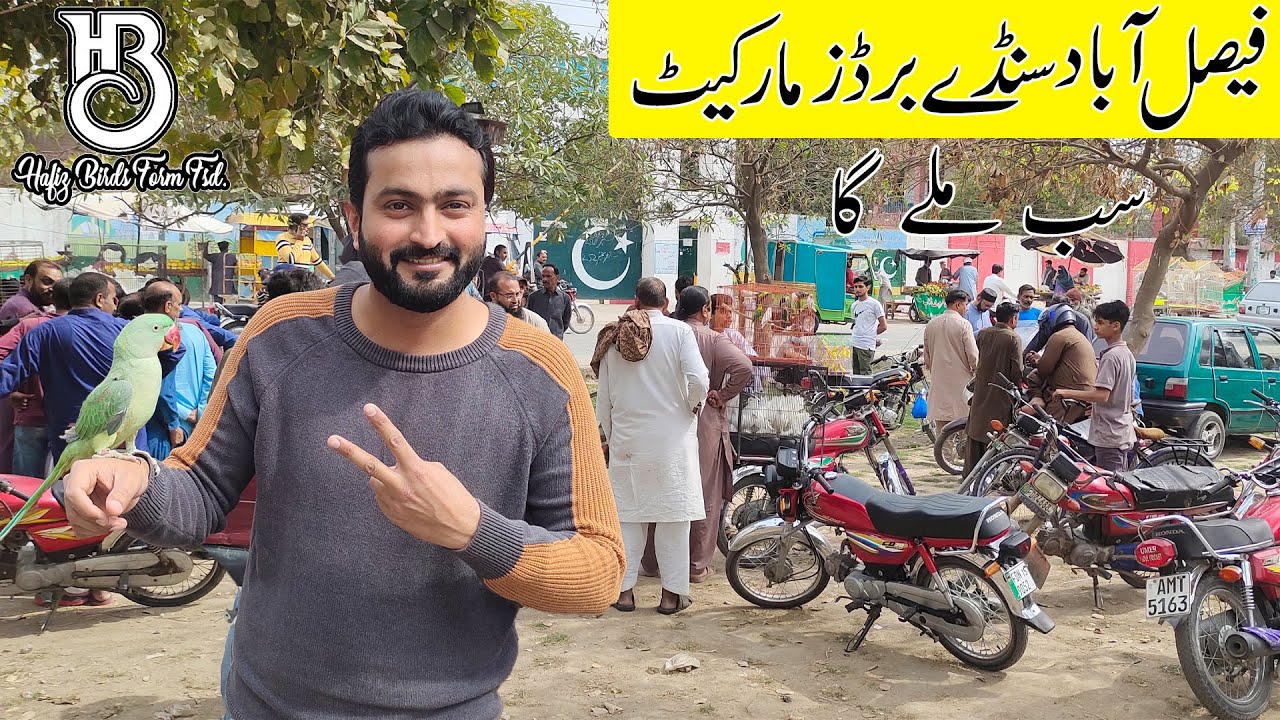 Faisalabad Sunday Birds Market Update 17/03/2024 || New Update Price || Birds Market