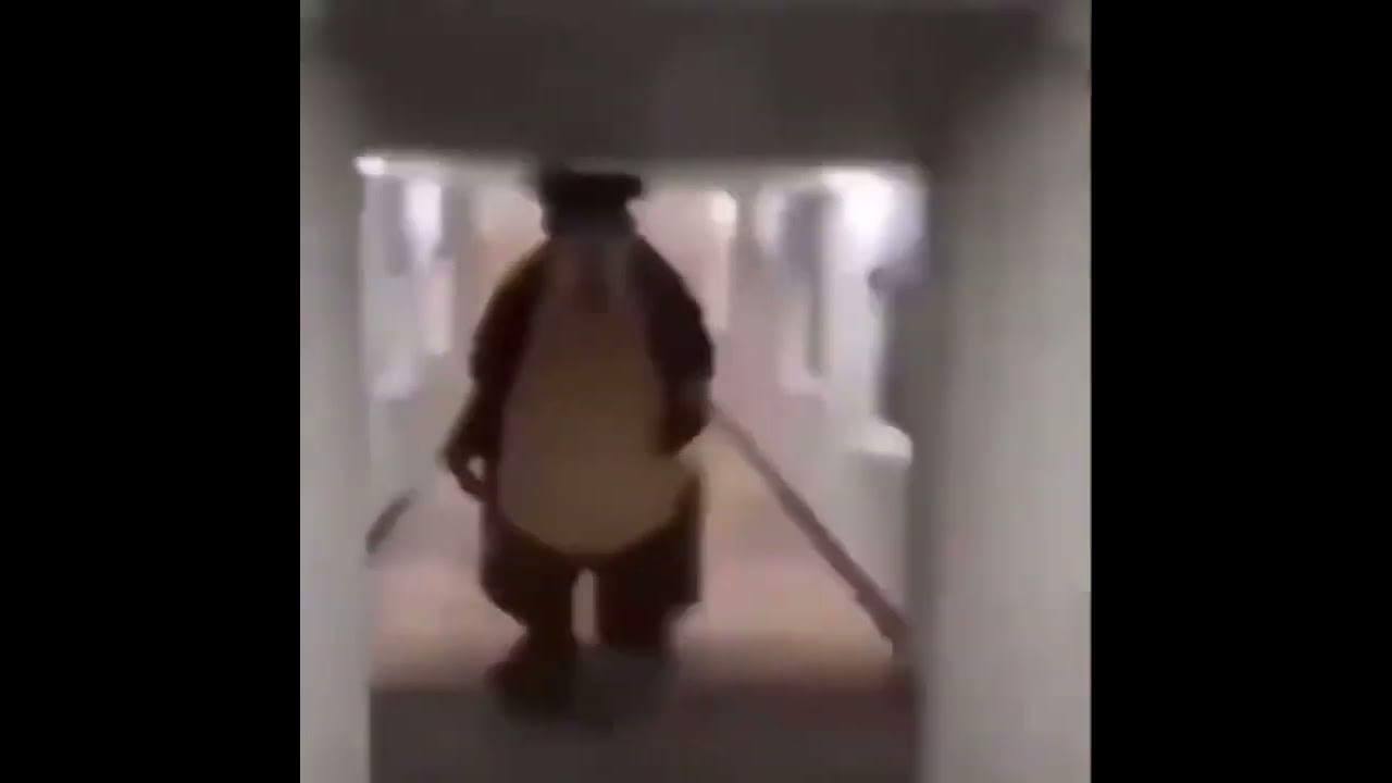 Bear chasing person down hall meme